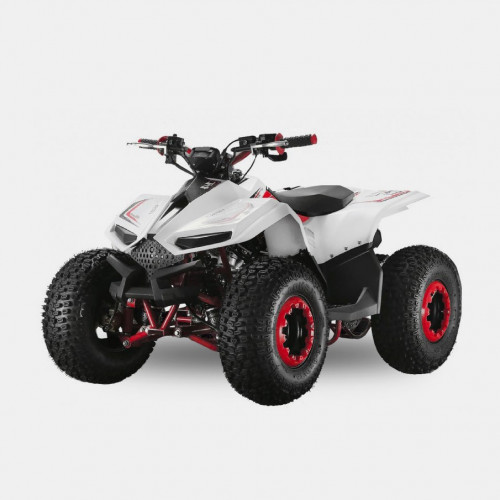 Velocifero E-ATV